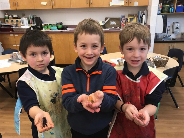 StVincentOak's tweet photo. Our Kindergarten students are digging for dinosaur eggs today! #AchieveBelieveBelong https://t.co/1Bj7WQs3RU