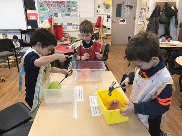 StVincentOak's tweet photo. Our Kindergarten students are digging for dinosaur eggs today! #AchieveBelieveBelong https://t.co/1Bj7WQs3RU