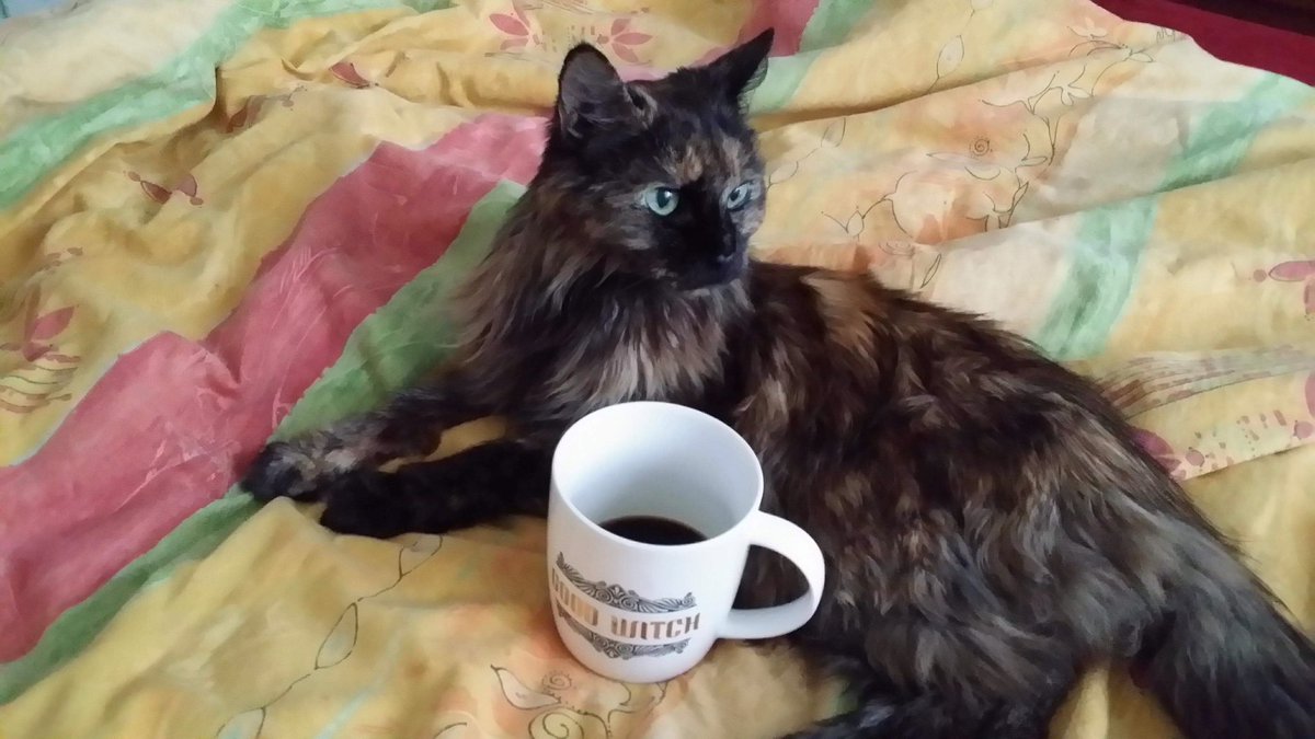 TheStyleStick's tweet image. Spot the Meepster at eighteen still loving her coffee. You go girl