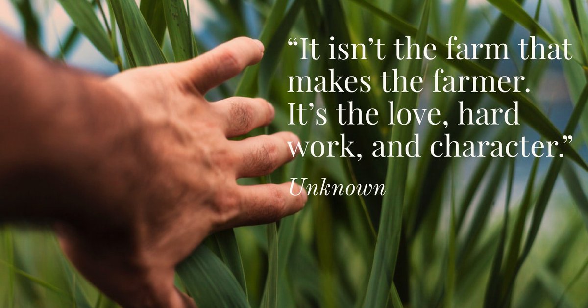 USFarmReport's tweet photo. #WednesdayWisdom https://t.co/SOPqx5ZmEz