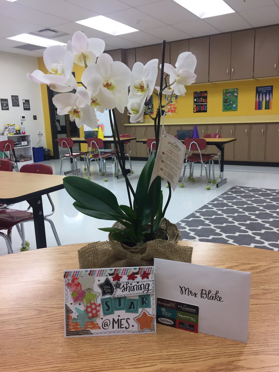 Lauren_L_Blake's tweet photo. Nice surprise from my MES family for #NSCW2018! I should be giving them gifts for their love & support! ❤️#Meskind #MagnoliaLearns https://t.co/hrjznh05rW