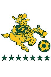 Brandon Fischer tweet media