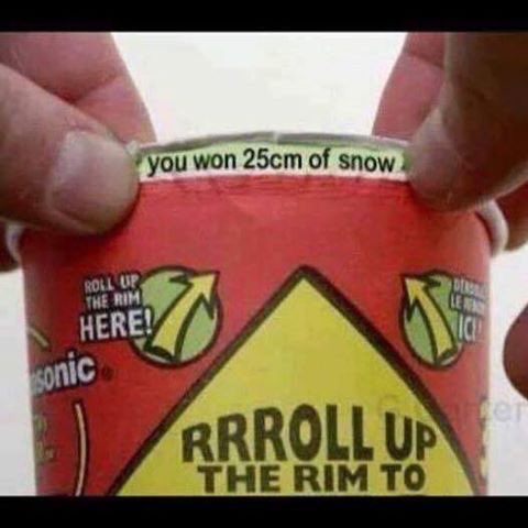 courtney herridge tweet media