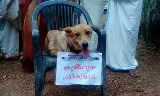 SoorajKSU's tweet photo. ഇതൊക്കെ ചെയ്യാൻ നിങ്ങൾക്കെ കഴിയൂ നിങ്ങൾക്കു മാത്രമെ കഴിയൂ സംഘിക്കളെ...
@KoYiKkoDaNn https://t.co/fuwL2HVzht