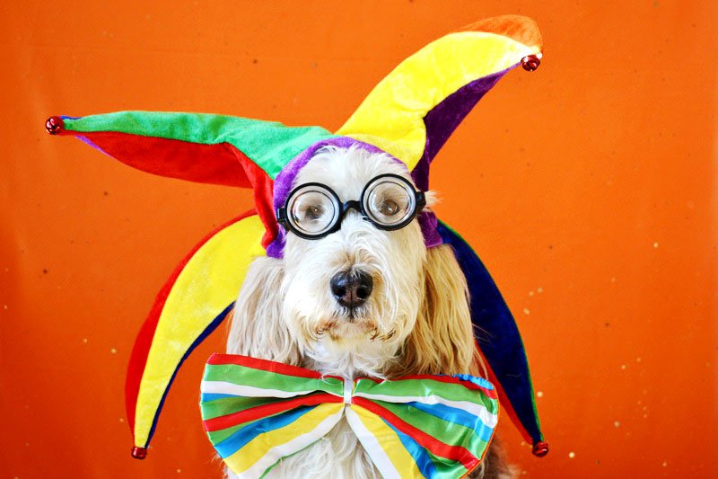 ClubEspanolFin's tweet image. ¡Ya se acercan los Carnavales! !Prepara tú disfraz! clubespanol.fi/2018/02/07/fie…