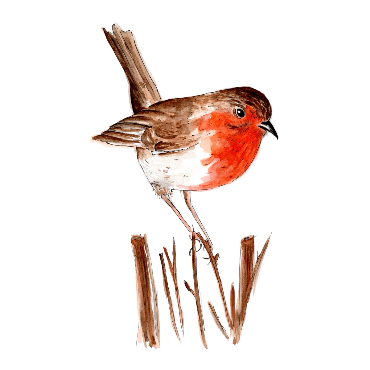 My Robin Watercolour giclee print is featured as one of the 'Must Have Items' on the home page on Bouf. You can buy yours from @Bouf here:
 bouf.com/product/robin-…
 
#watercolour #watercolours #robin #artwork #nature #birds #wildlife #bouf