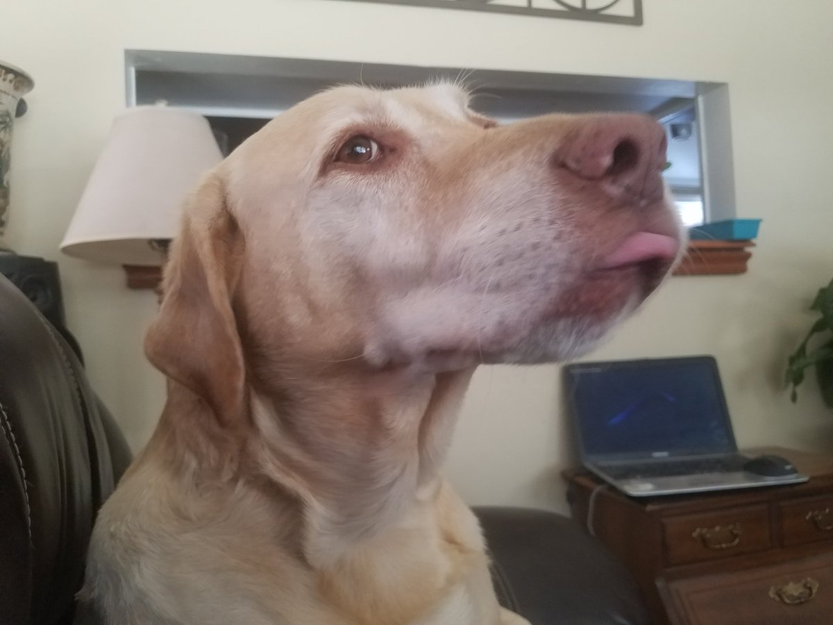 tryceankrom's tweet photo. M@OutnumberedFNC #Outnumbered CUTE PIC: #QueenSnoopy wanted to send one of her favorite shows a #kiss lol #MakeMyComedyFunnyAgain & #LearnToListenToSnoopy lol https://t.co/y6SGOtMuzH