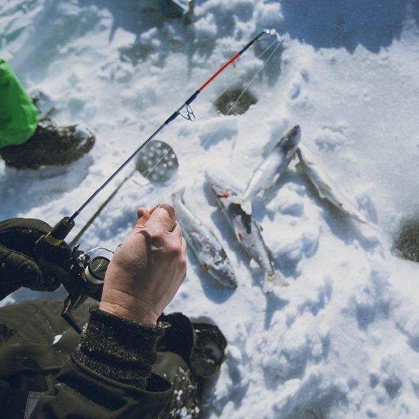 What are you doing this weekend? Why not “go for the big one” ice fishing in Northwest Ontario? With over 70,000 fishable bodies of water, it’s the perfect place to experience one of Canada’s greatest winter traditions. 

Plan your trip today: goo.gl/7PAzLc #visitNWO