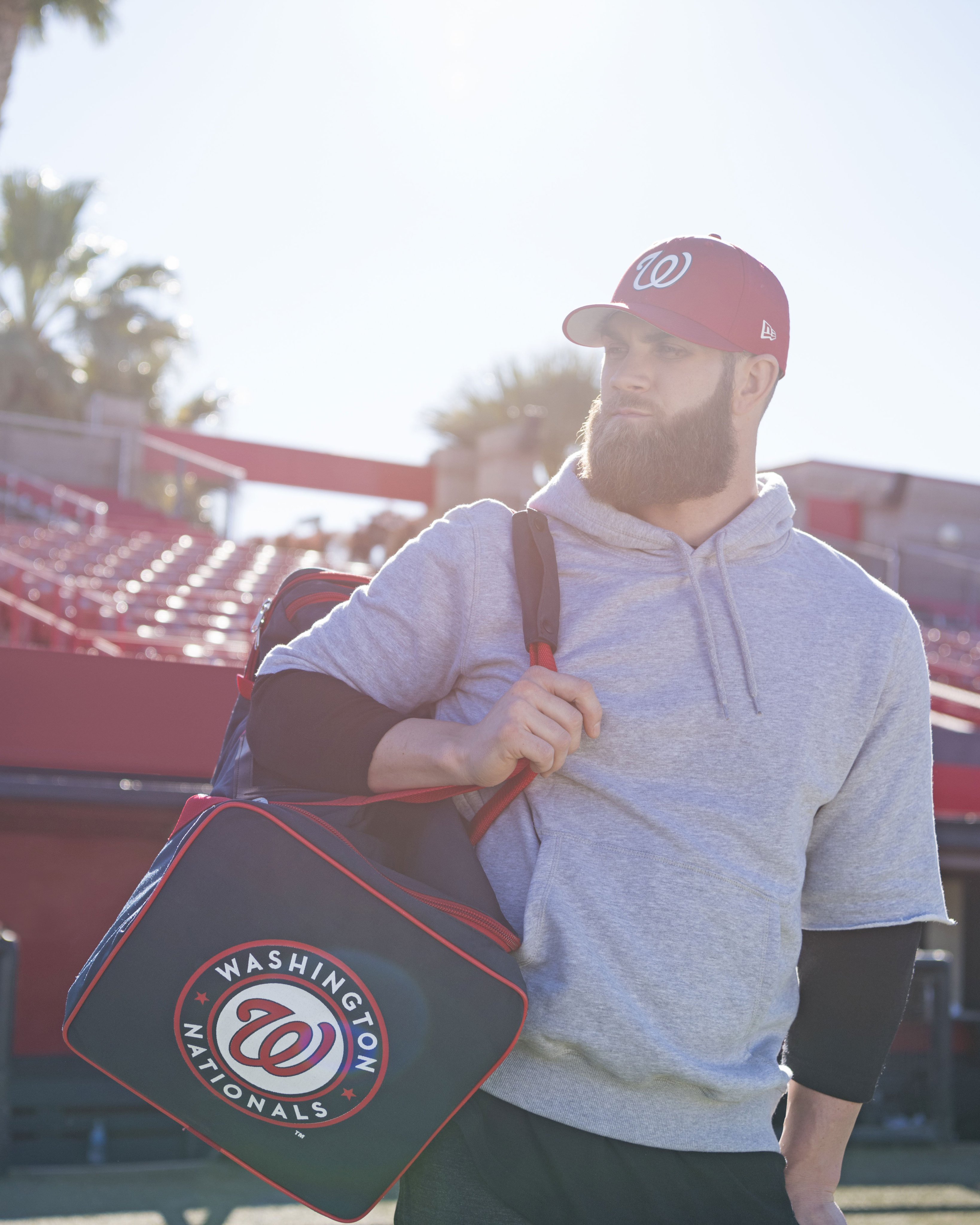 X New Era Cap The 2018 MLB Spring Training Low Profile