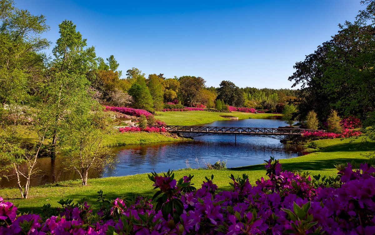 waterestate's tweet photo. In case you missed it, be sure to see this link on peace of mind. https://t.co/nJ3tcZLZnz https://t.co/7jSKwSu4dO