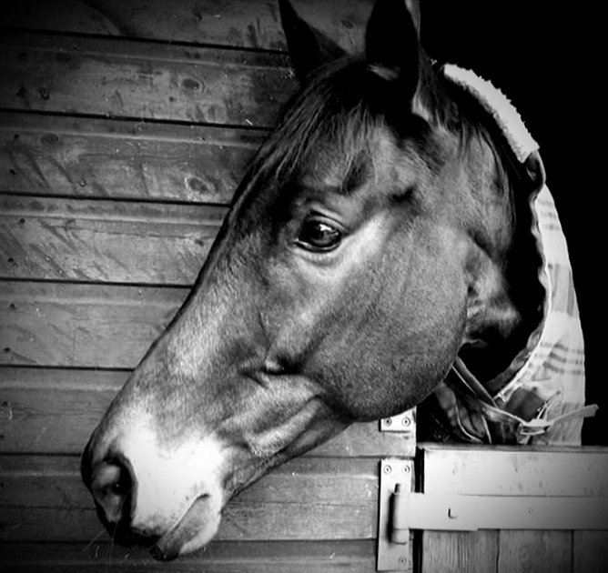 JRProfessional1's tweet photo. @DigitalCameraW I am 11yrs old from #Yorkshire,I am setting up my own #photography business.I want to raise money for #charity in memory of my great grandma by taking photo's of #celebrities for a small #donation or to raffle the photo's. Could anyone help me please? Please retweet. Thanks,Reece https://t.co/IrvbcUxXRi