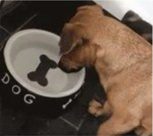 The very definition of confusion and frustration! Check out the video here: goo.gl/jKSRWj