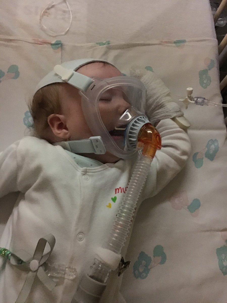 noodlesc25's tweet photo. Can everyone say an extra special prayer for wee Noah tonite he’s still in hospital and very poorly and his future very uncertain @Lisa_Hague1 @kcommons15 @sknox7 @SimonDonnelly13 @JohnHartson10 @chris_sutton73 @ScottBrown8 @Scotty_Sinclair https://t.co/2yeE7msReA