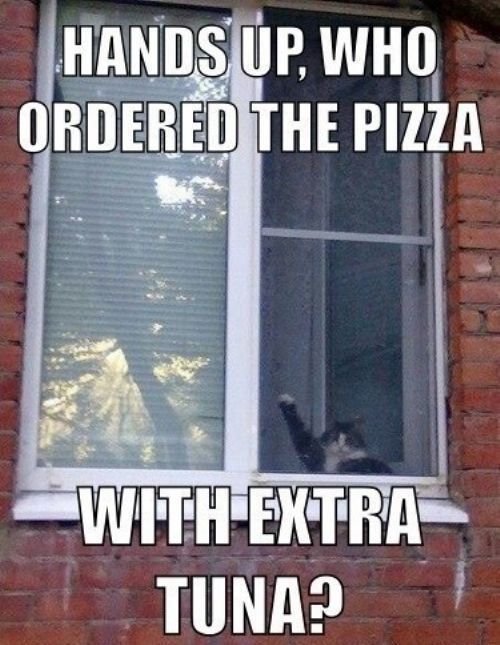 Dominos_Lombard's tweet photo. What do you want extra of on your pizza? Click here now to order online! #Pizza https://t.co/HM3nPbvrzW https://t.co/IvH75mtX5r