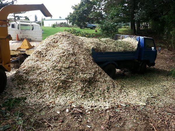 norfolk_island1's tweet image. Dial A Digger on #NorfolkIsland proudly proving all your Excavation and Earthmoving Requirement. Ring Caine at Dial-A-Digger for all your earthworking needs. ow.ly/PcpJ30hLoBB #NorfolkIsland #DialADigger