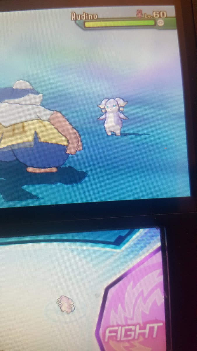 josiff600's tweet photo. A little hard to tell but shiny audio! Shiny hype is 200% today! https://t.co/W7uXC5Z7JA