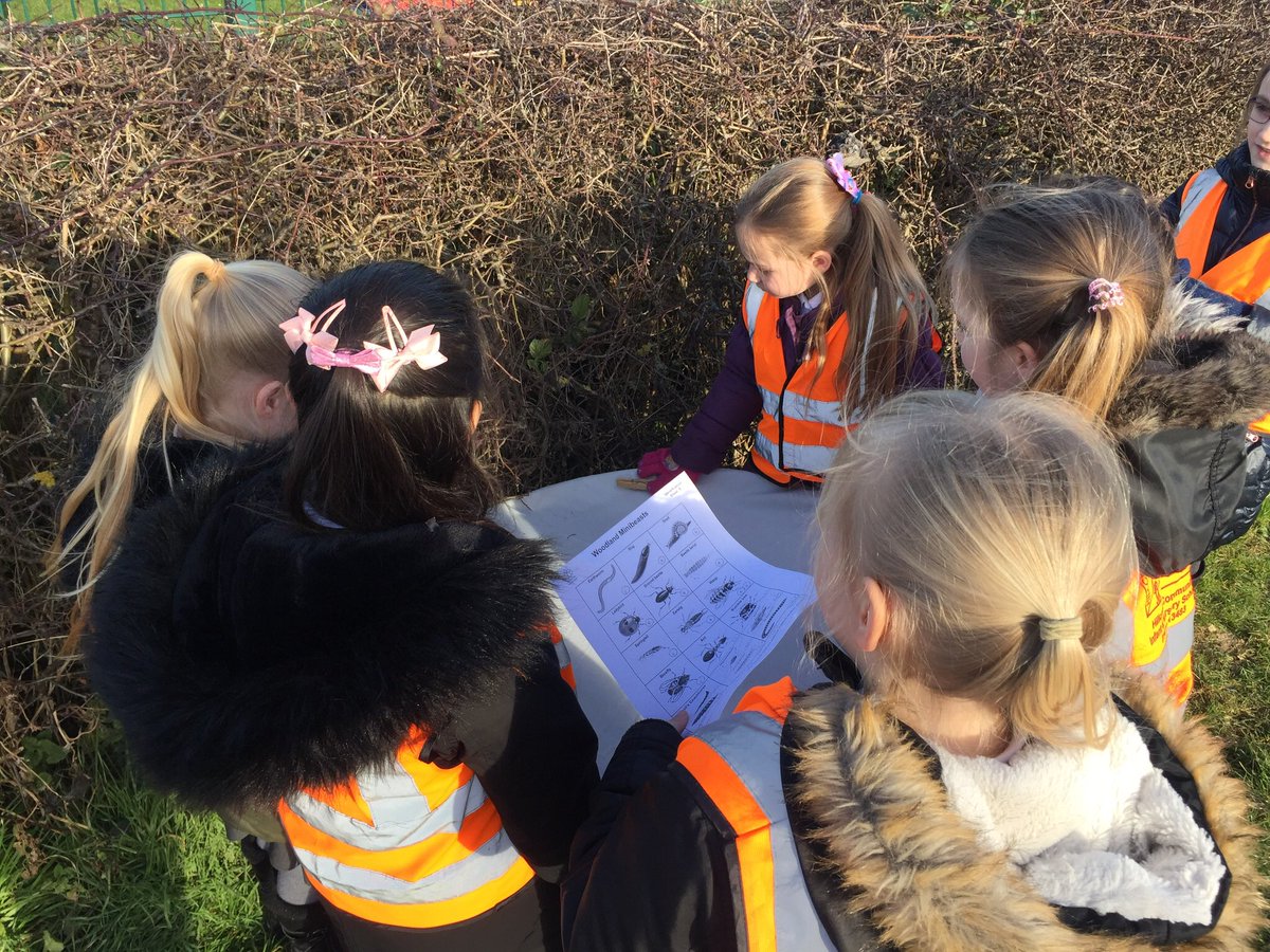 MrLovelidge's tweet photo. We adventured outside this afternoon on the hunt for minibeasts! #bushbeating #gettingoutandabout https://t.co/VIHi3yTyWG
