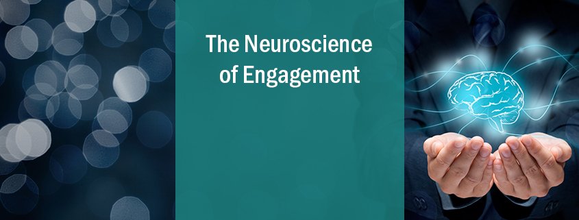 CoralieSawruk's tweet photo. Research suggests neuroscience has a big impact on human motivation. My latest guest post for @Achievers blog looks at how we can leverage this to help optimize employee engagement initiatives! a https://t.co/mTqeVQuvAc #employeeengagement #motivation #Achievers https://t.co/zkO1BQDsUr