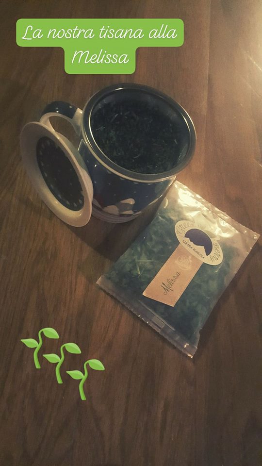 Dolcepiemonte's tweet photo. Volete allieviare lo  stress, combattere l'insonnia, regalarvi un po' di relax? Sorseggiate una tisana alla melissa con un cucchiaino di miele di alta montagna!
#melissa #relax #dolcepiemonte #mieldialtamontagna #greenberry
https://t.co/SjLFIyaO5V https://t.co/OM7WgTGpGH