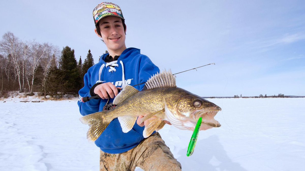 CanadaPHWFF's tweet photo. Ice-fishing Friday: The lethal attract-and-trigger trick for hooking #walleye, #perch and northern #pike https://t.co/4N5s964IU4 via @outdoorcanada #GordPyzer #icefishing https://t.co/TBiQv4JPvn
