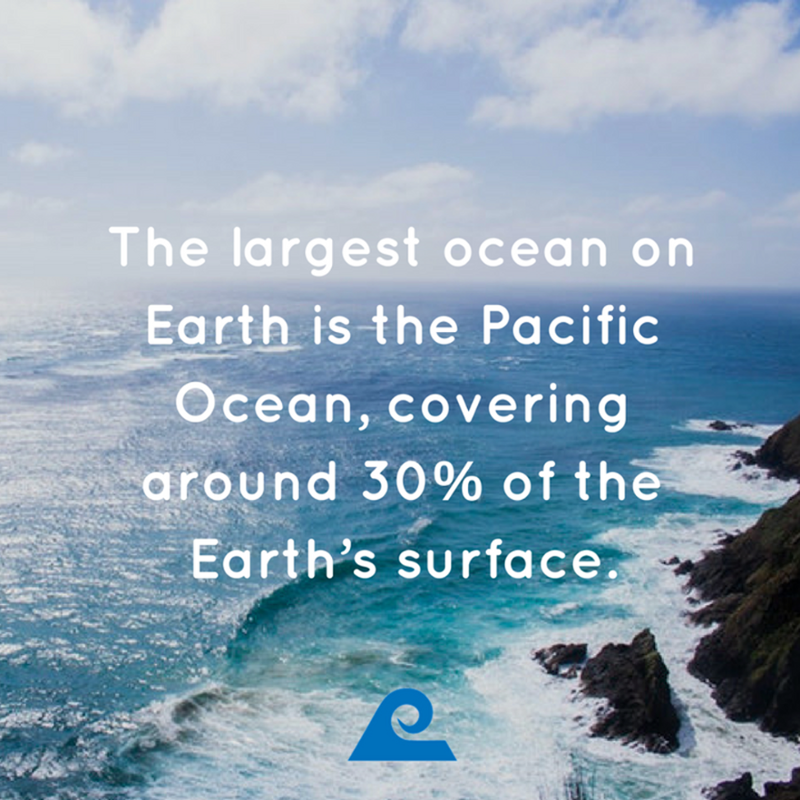 PacificTheory's tweet photo. Our oceans are so beautiful &amp; unique! The #PacificOcean covers more area than all the land masses combined &amp; is home to a wide variety of weird &amp; wonderful creatures. 🐠🐡🐙 https://t.co/4yj39ptgcb