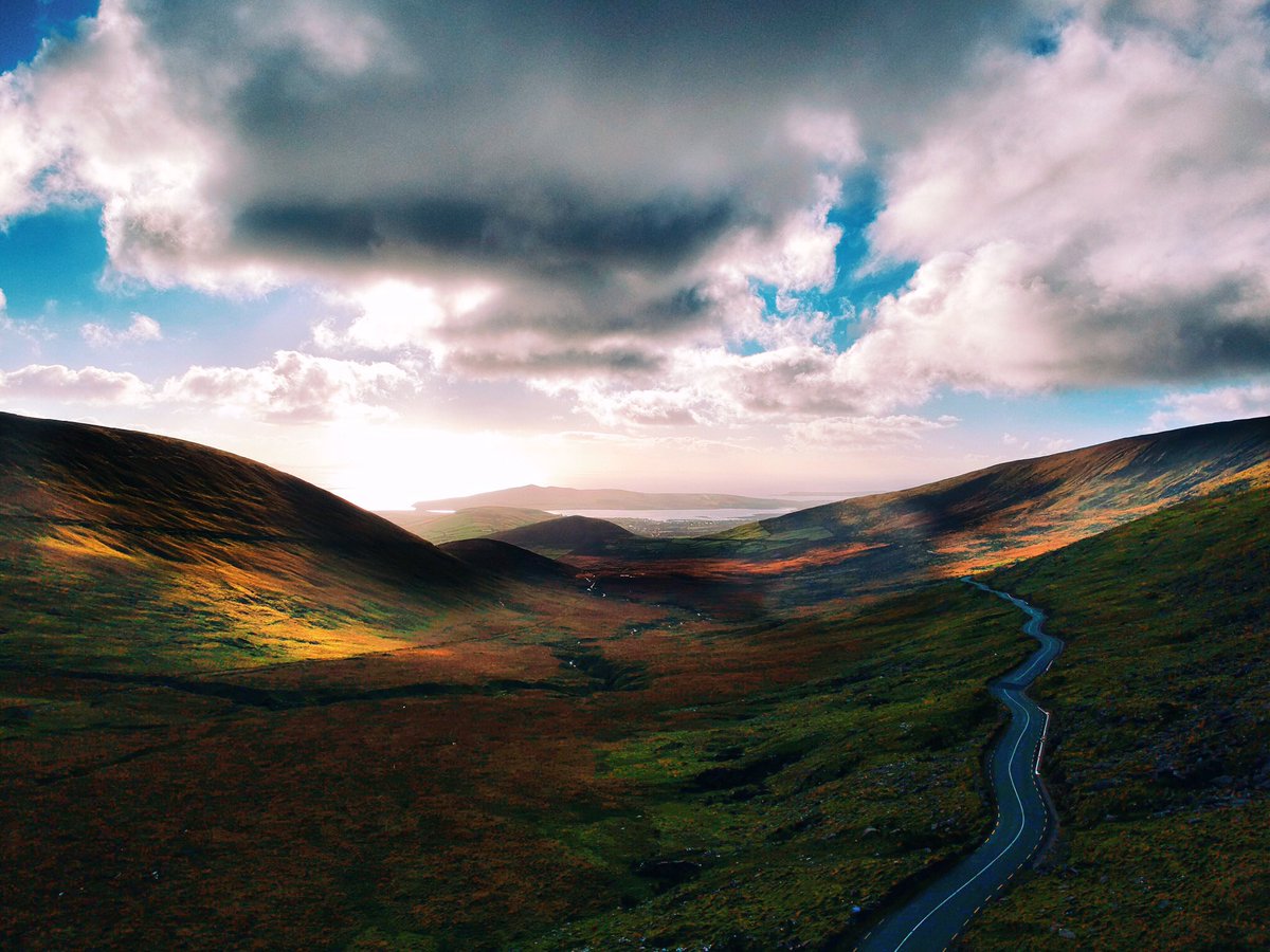 Avalanche Designs tweet media