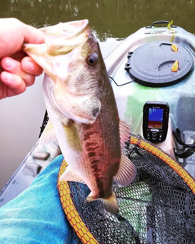 CrouchOutdoors's tweet photo. Muddy water fishing. #kayak #kayakfishing #fishing #texasfishing #texasangler #bassfishing #freshwater #bass #largemouthbass #lmb https://t.co/aZhLxceJmL