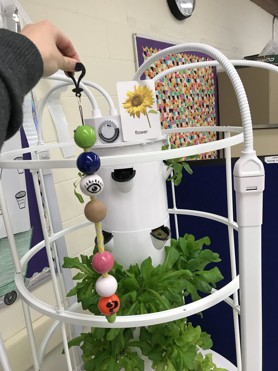jdidierslp's tweet photo. Awesome connection made during EET group today. βMs. Jenna, the flower has leaves like that!β (points to Tower Garden)β#slpsuccess #watchusgrow @112foundation @NSSD112 @TowerGarden https://t.co/1Tb4PNKKbC