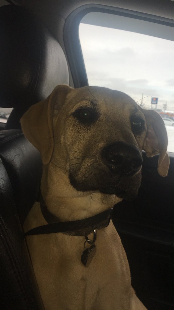 cicxlee's tweet photo. She’s growing up so fast😭🤪 https://t.co/HSQxmwuBFH