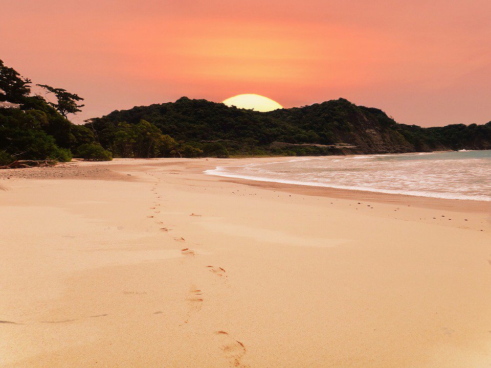 MASurfSchool tweet picture