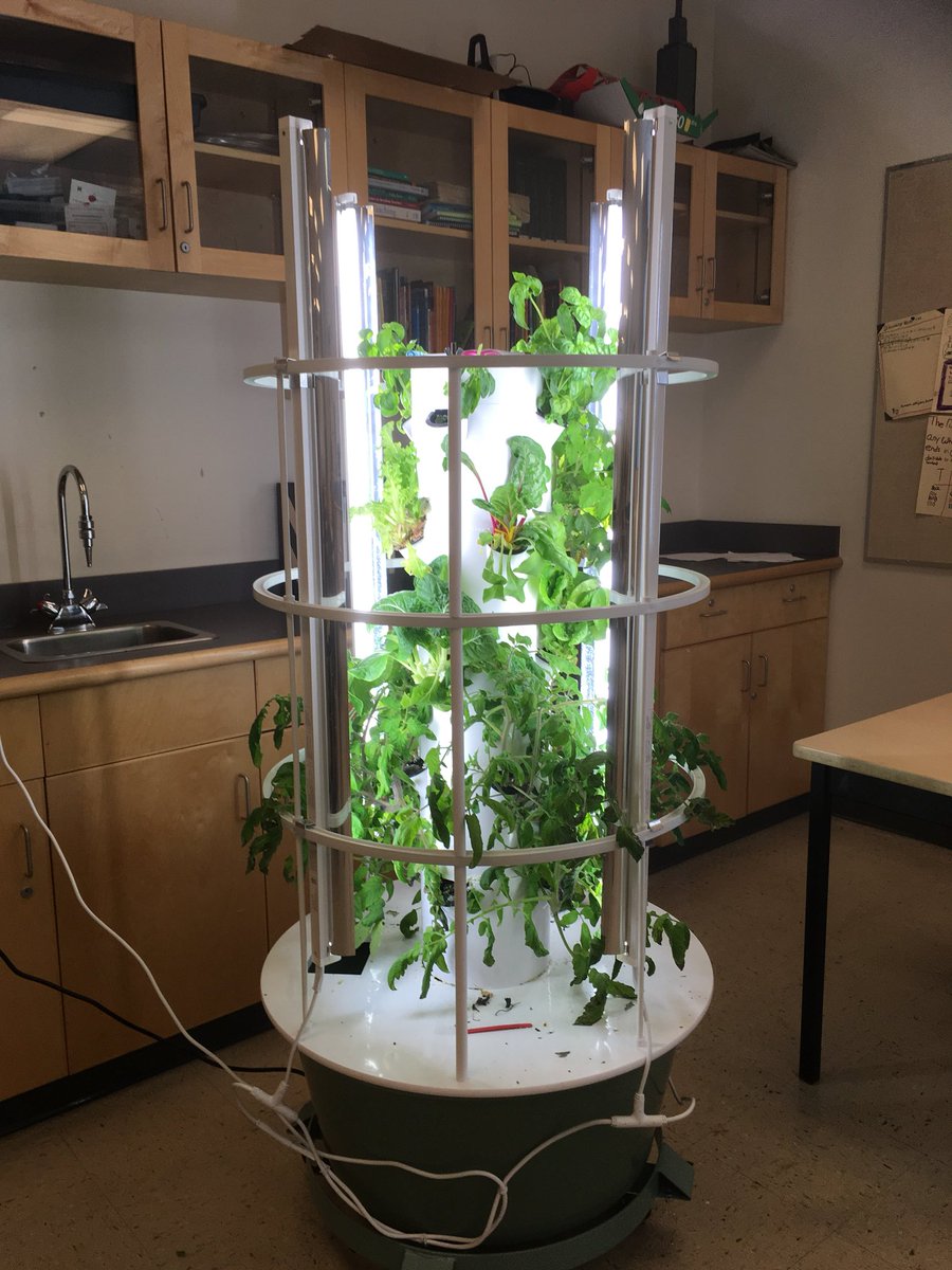 ddonahuer's tweet photo. Langdon School’s Horticulture Club made a salad today with their hard word from the garden tower! Excellent work! #abed #rvsed #growfood https://t.co/8tcb1C7LKq