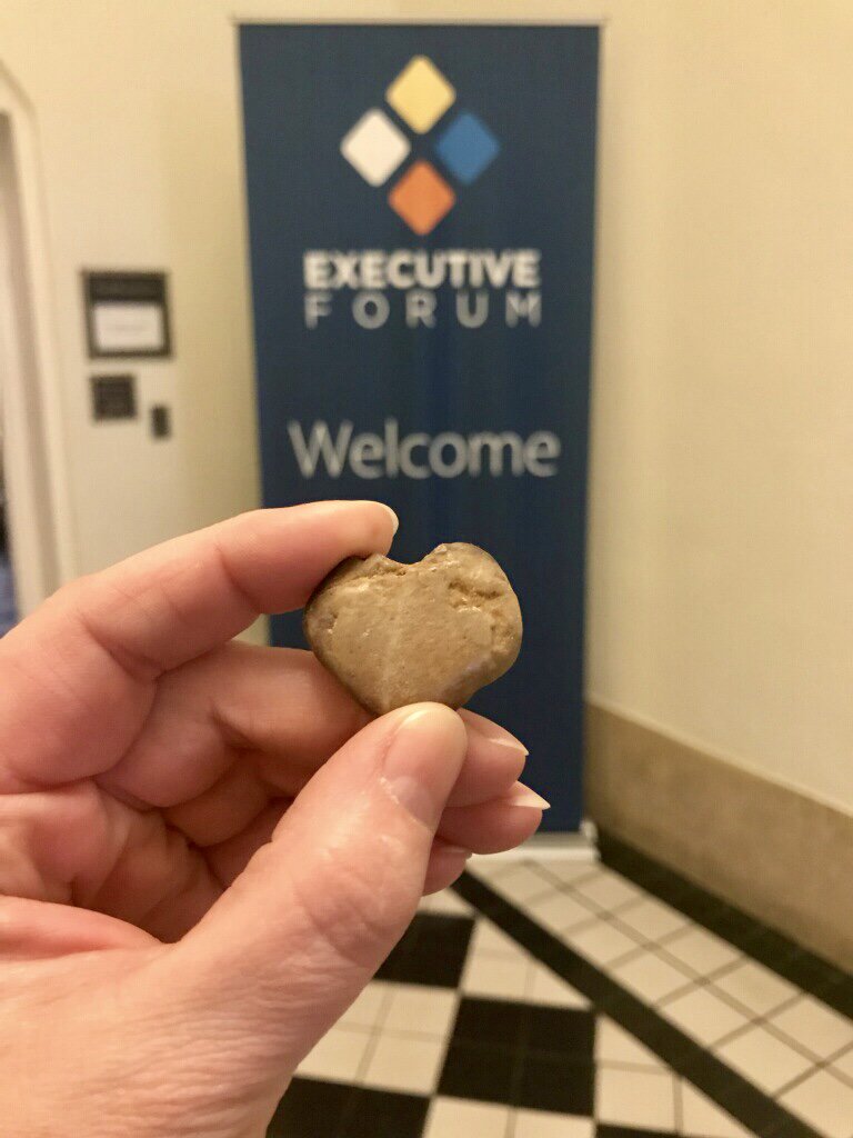 T2SystemsInc's tweet photo. One of our #T2ExecutiveForum2018 attendees (@hematty47) always looks for heart-shaped rocks when she travels, and found one here in Portland! #T2love #PDXrocks https://t.co/94dd23Rekk