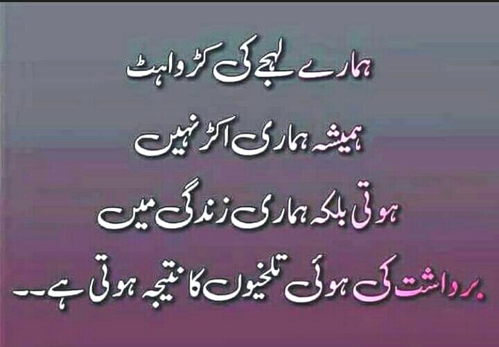 Ikramullahjan9's tweet photo. @islahuddin17 @naeemtoronto @Matiullahjan919 https://t.co/K9aXGqEWQM