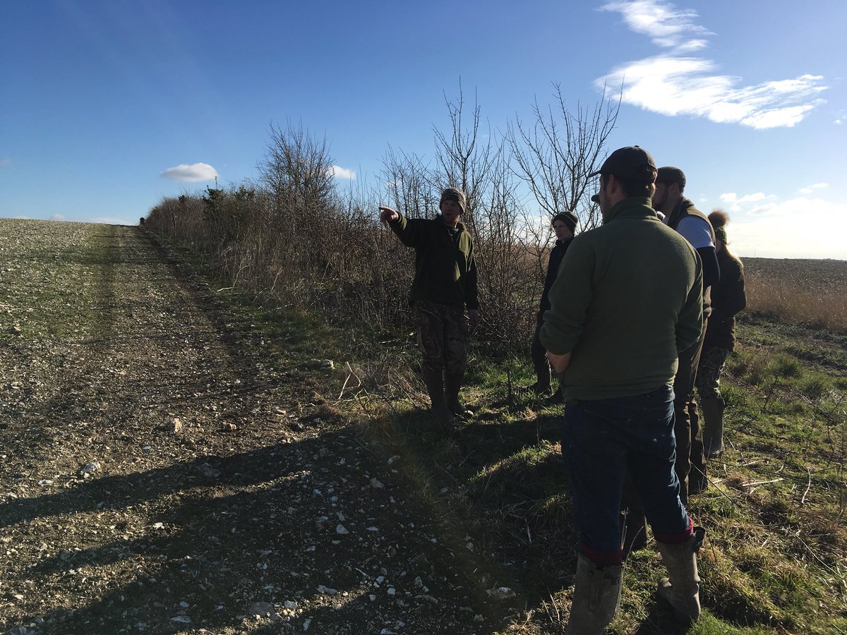 Another stunning day at Peppering looking at farm habitat management for wild grey partridge with Charlie Mellor and <a href="/Sparsholt_Coll/">Sparsholt College</a> Gamekeeping students