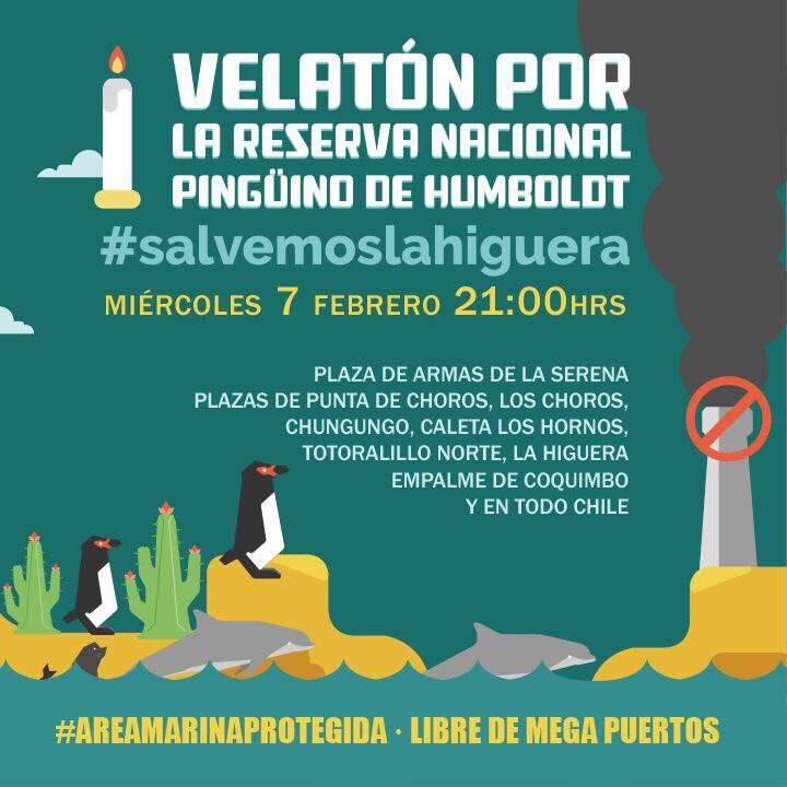 ND_Chile's tweet photo. [HOY • Velatón por #SalvemosLaHiguera] 

Esto no está zanjado mientras sigan existiendo sectores que privilegian la usura a corto plazo frente a la preservación de nuestro ecosistema. 

#LaSerena
#Coquimbo
#NoADominga https://t.co/jpwOkDoAPu