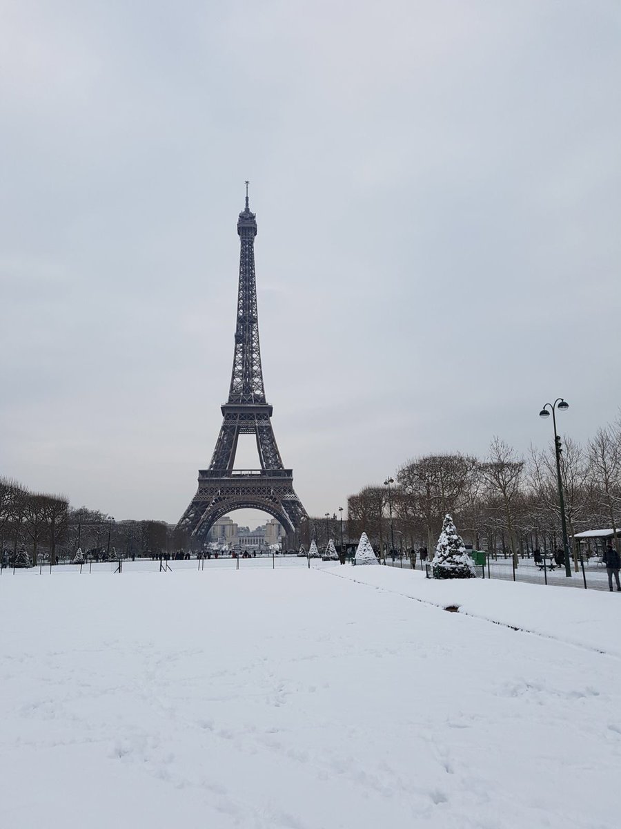 VERENNAFERRARIN's tweet photo. Madame La giraffe dans la neige #ParisSousLaNeige #timguenard https://t.co/qcP7ld1V3s