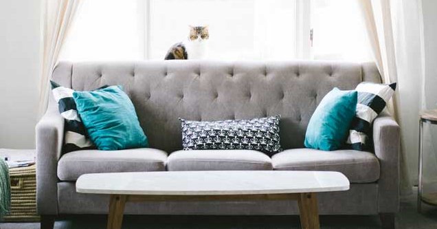 TappouniRealtor's tweet photo. Bidding Wars: Tips to Home Buying Victory https://t.co/qGSsbJufQT https://t.co/hkvNBGBPDD