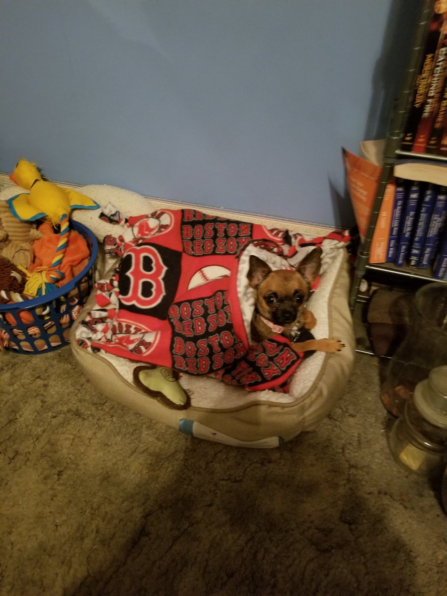 mstweety39's tweet image. My baby Bella is waiting for the her mommas favorite team to start playing @NESNRedSox @15Lasershow