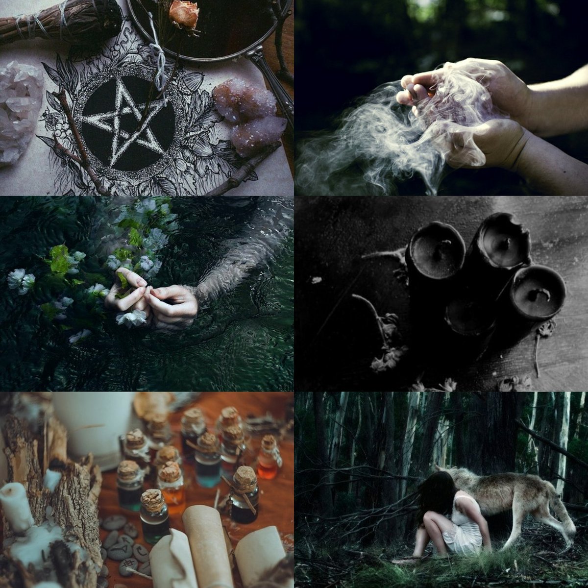 Magic Diaries tweet media