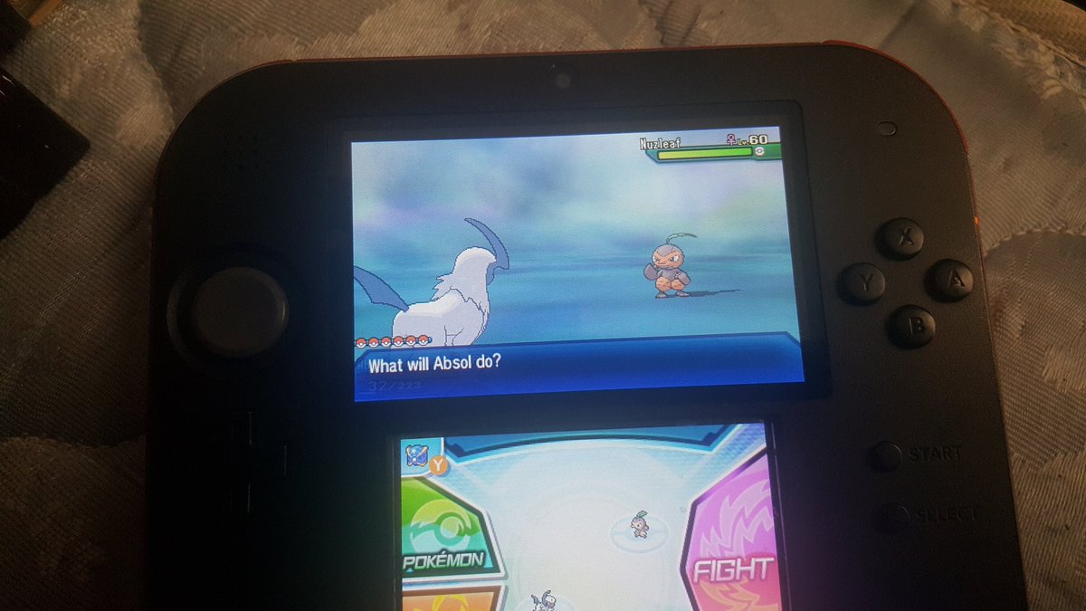 josiff600's tweet photo. Shiny nuzleaf! https://t.co/O6QBU88zv5