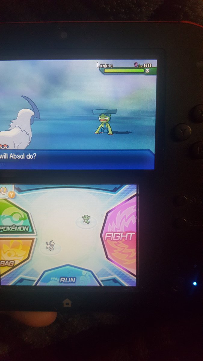 josiff600's tweet photo. Shiny lombre number 2! https://t.co/1vv7ffmoy2