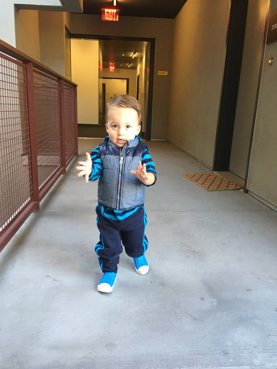 WardAndFifth's tweet photo. My morning commute Mate! #Dash https://t.co/69tgDtZ18U