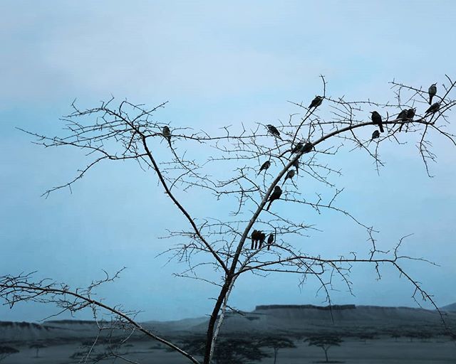 KALPRNYC's tweet photo. We're getting excited for Haus Alkire's (@hausalkire) #FW18 presentation tomorrow! #DIORAMA #Inspiration / @thecut https://t.co/lmmrzJw0gf https://t.co/1OkgcHIJXH