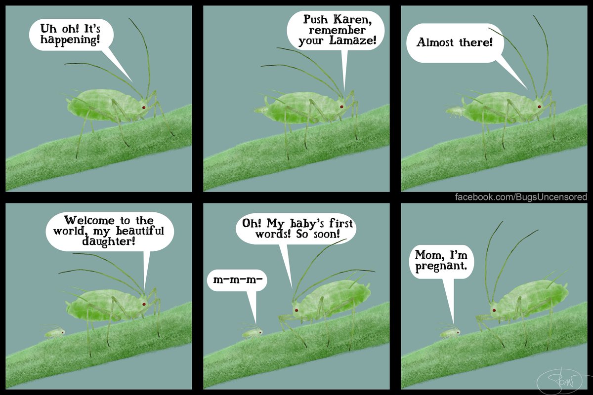 Téléchargement gratuit Images Entomology Uncensored On Twitter Aphids Entomology dernière par