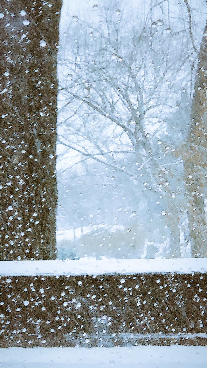 AlavaLand's tweet photo. A snowy day in #nyc at #centralpark https://t.co/P3grgooGes