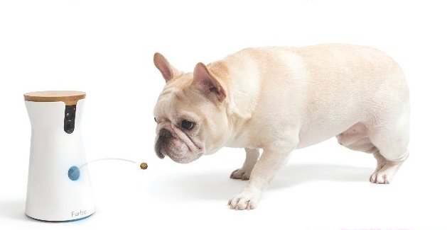 joshwilliam2011's tweet image. #furbo
see, tlak and toss treats from any where
DOG CAMARA
see more . . . amzn.to/2C498dP