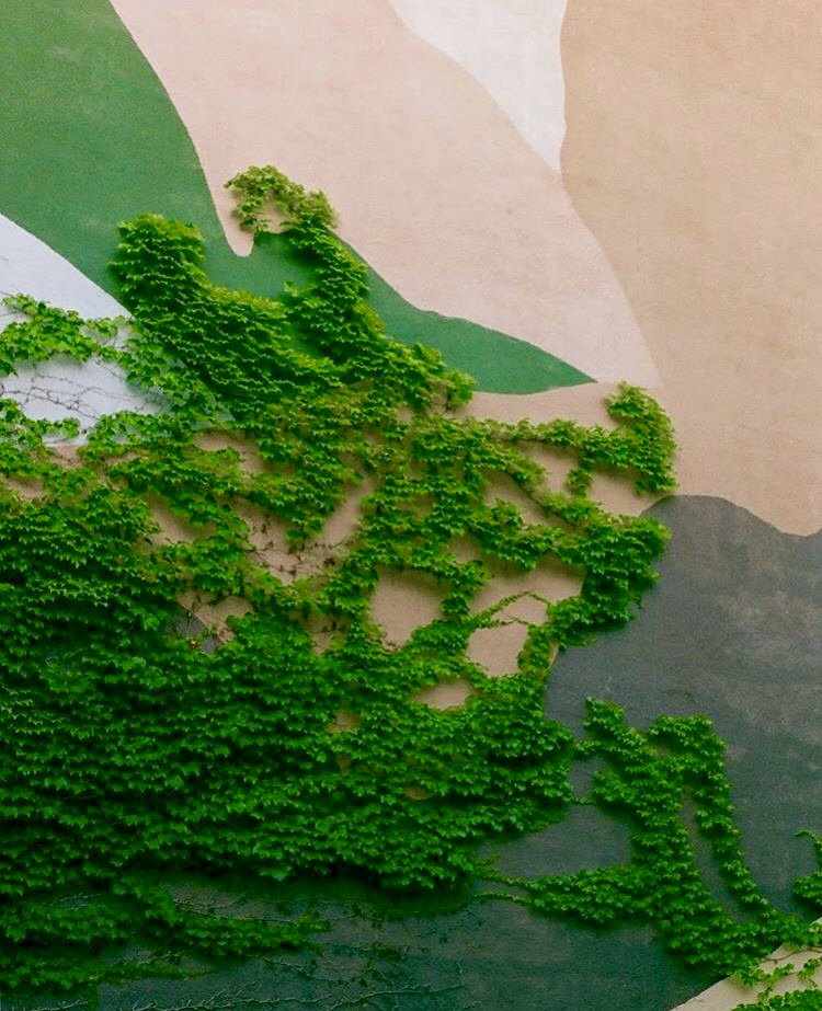 AcmeCameraCo's tweet image. In the spirit of our favorite buffets (Chuck-A-Rama Buffet) we&apos;re offering our customers &quot;All You Can Scan Film&quot; for $14 p/h. Wear your stretchy pants! #AcmeCameraCo.