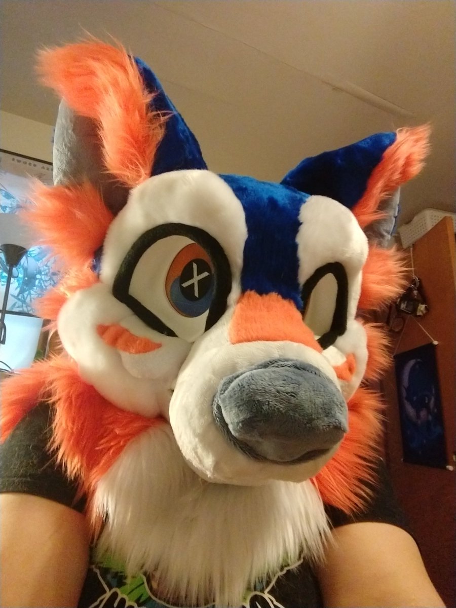 💓 Lucie on Twitter "Tide pod Dog, I would name him Toxic lemonbrat…