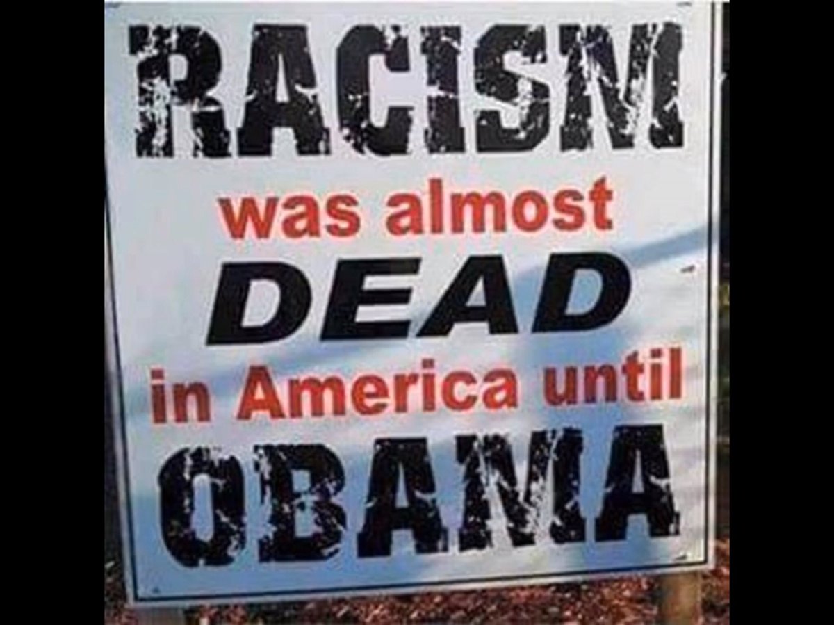 1Dittlinger's tweet photo. This and #treason are #obama’s legacy.  8 years of experience and the current prez is still more qualified than the little zero. #StopAffirmativeAction https://t.co/mW6ID5IMkS