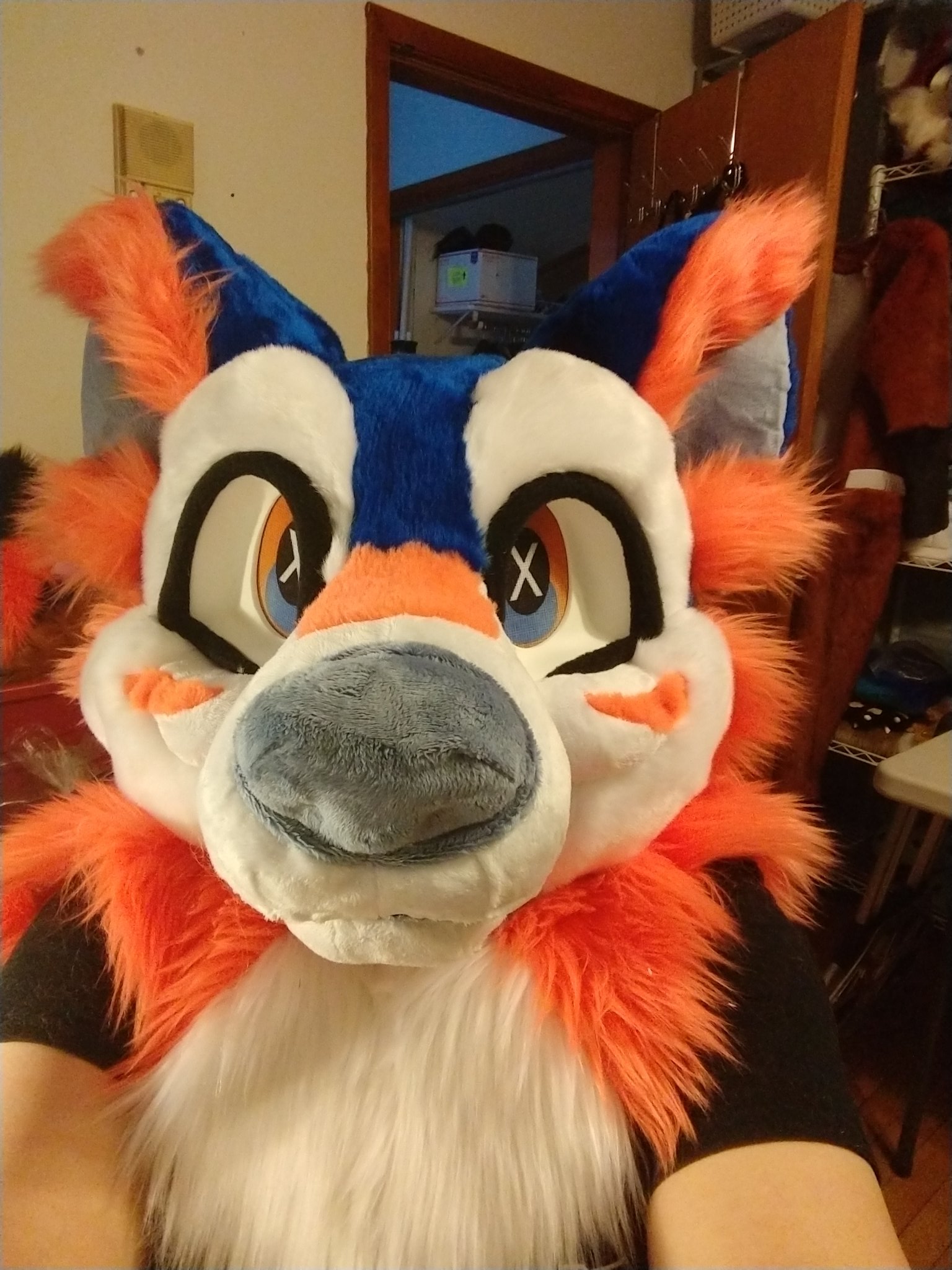 💓 Lucie on Twitter "Tide pod Dog, I would name him Toxic lemonbrat…